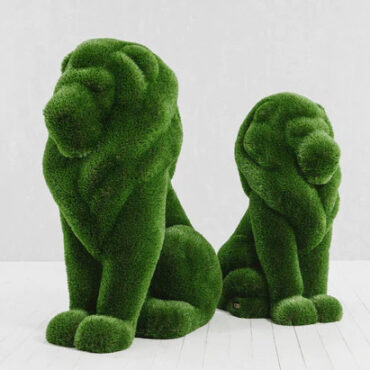 Small Seating Lion