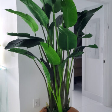 Large Bird of Paradise in Large Teak Vessel
