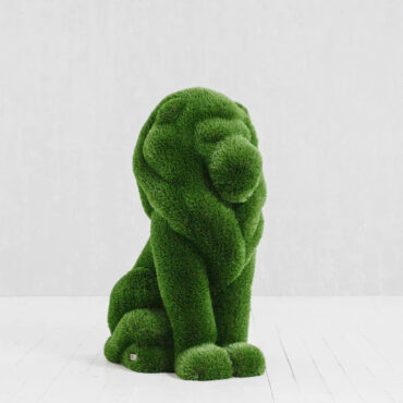 Small Seating Lion