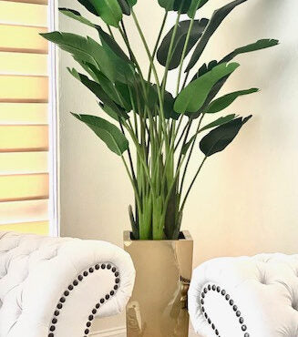 Bird of Paradise in Medium Gold Cube Planter