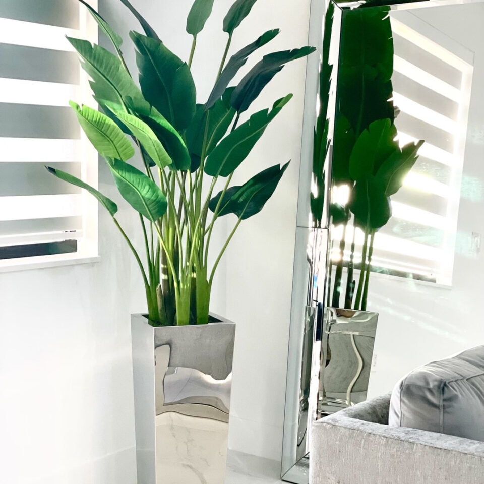 Bird of Paradise in Medium Stainless Steel Cube Planter