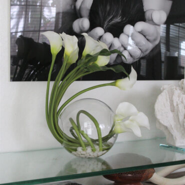 Calla Lilies in the Crosswinds Vas