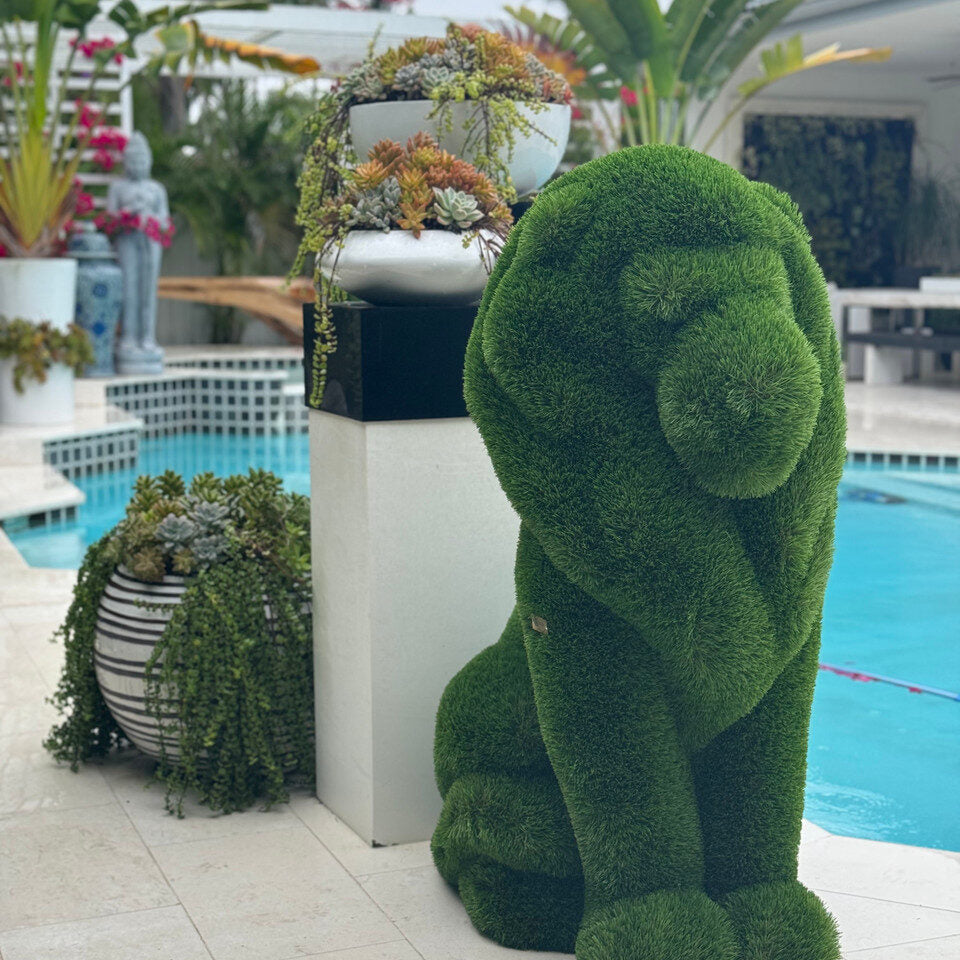 Small Seating Lion
