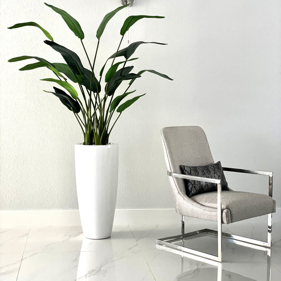 Dax L Planter with 7 Ft Bird of Paradise
