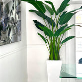 Beau Planter with Bird of Paradise