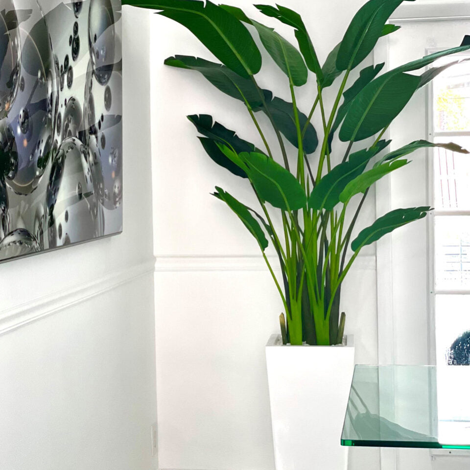 Beau Planter with Bird of Paradise