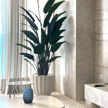 Bird of Paradise in Matte Beige Santa Barbara Planter