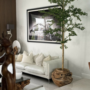 Shady Lady Tree in One Of A Kind Teak Hand-Carved Planter